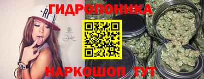 гидра Тара