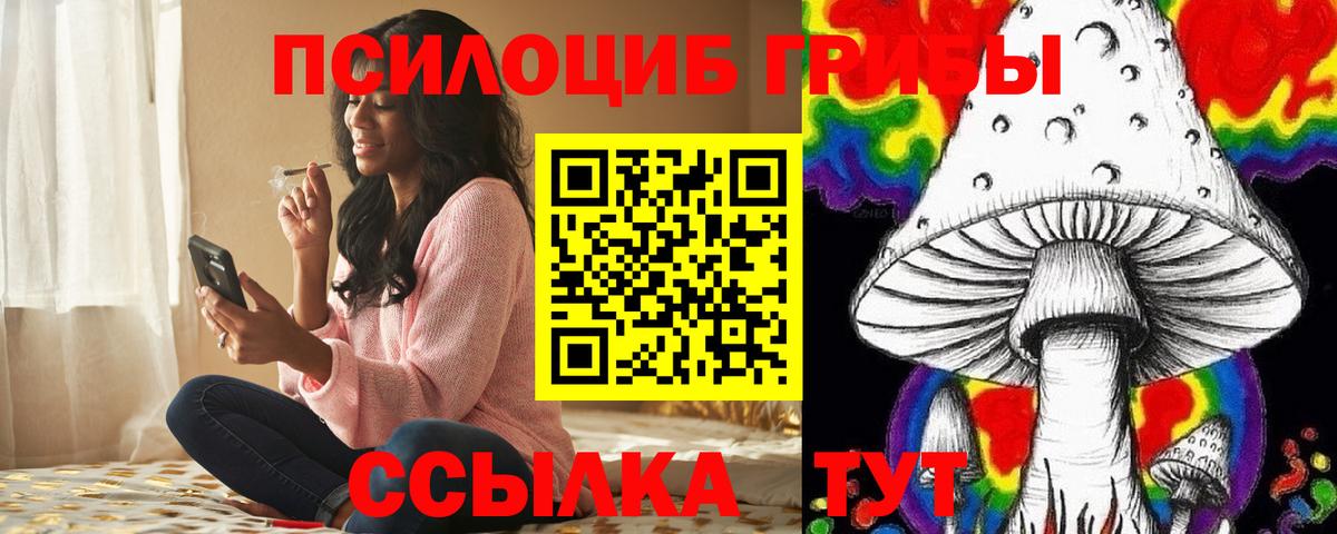 Полысаево  Псилоцибиновые грибы Cubensis  Вход с VPN 